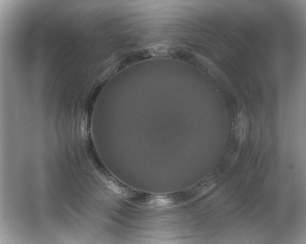 X0000065980610200603031156