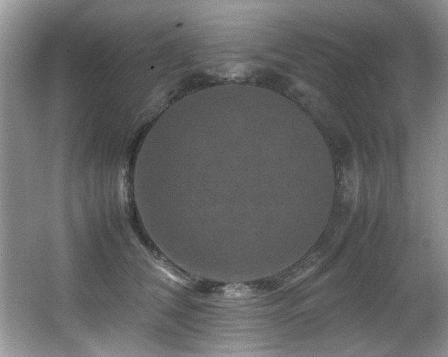 X0000065980612200603031156