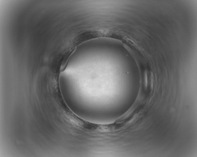 X0000065980613200603031156