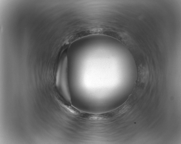 X0000065980614200603031156