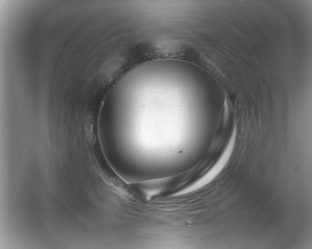 X0000065980615200603031156