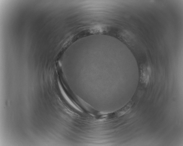 X0000065980616200603031156