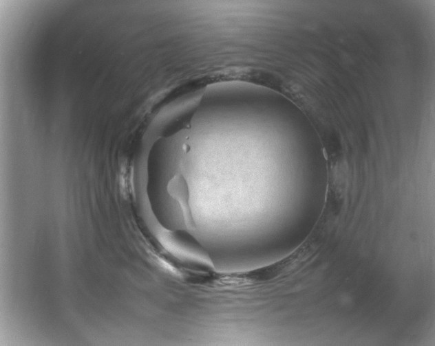 X0000065980617200603031156