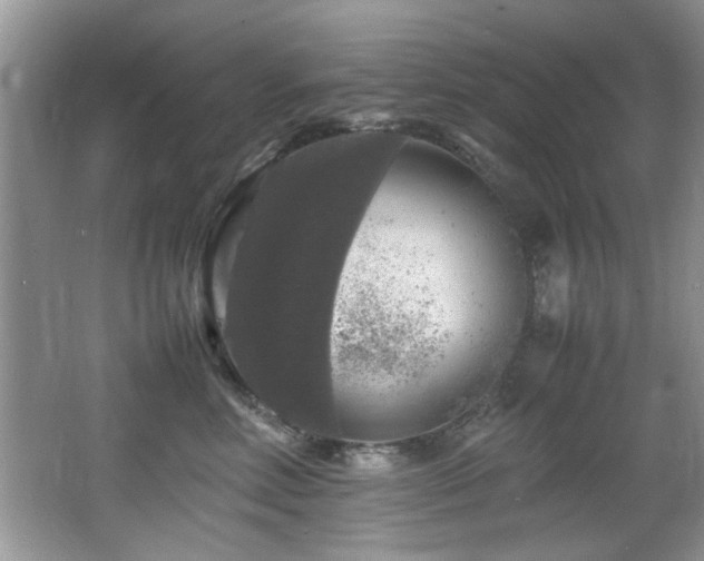 X0000065980618200603031156