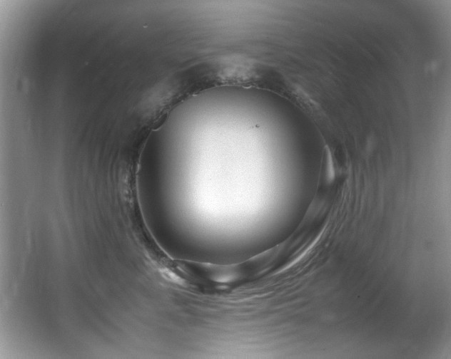 X0000065980619200603031156