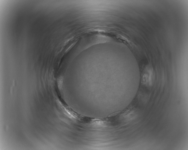 X0000065980620200603031156