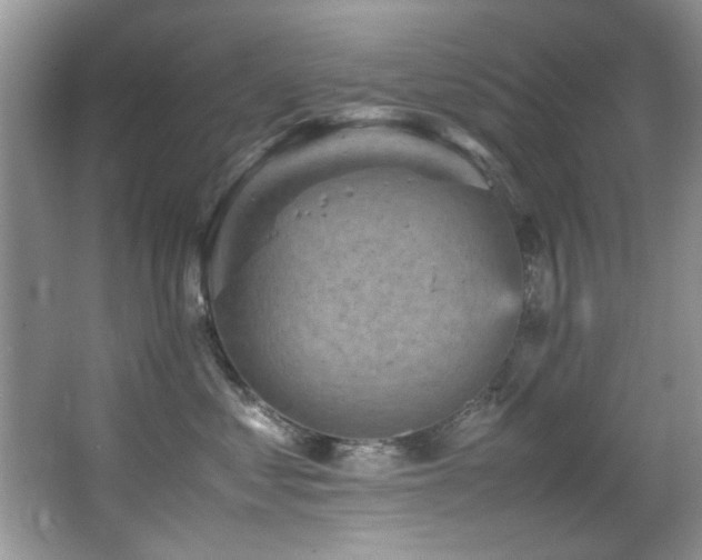 X0000065980621200603031156