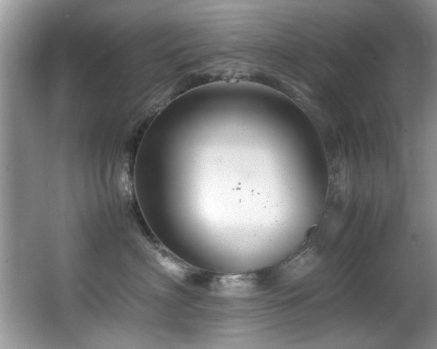 X0000065980622200603031156