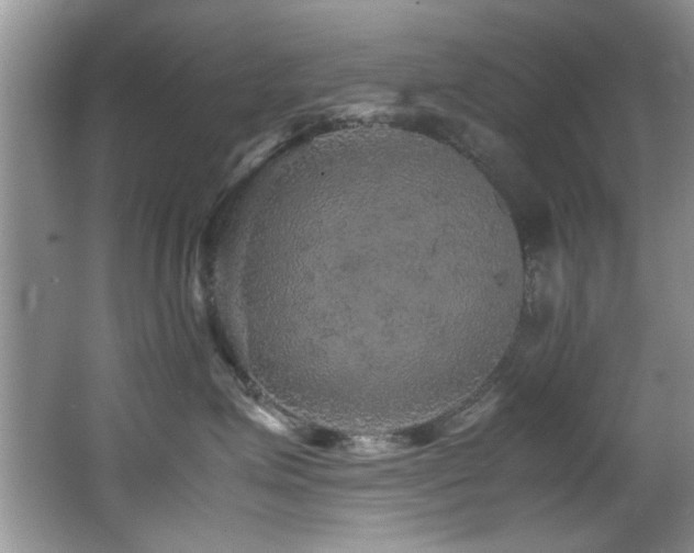 X0000065980623200603031156