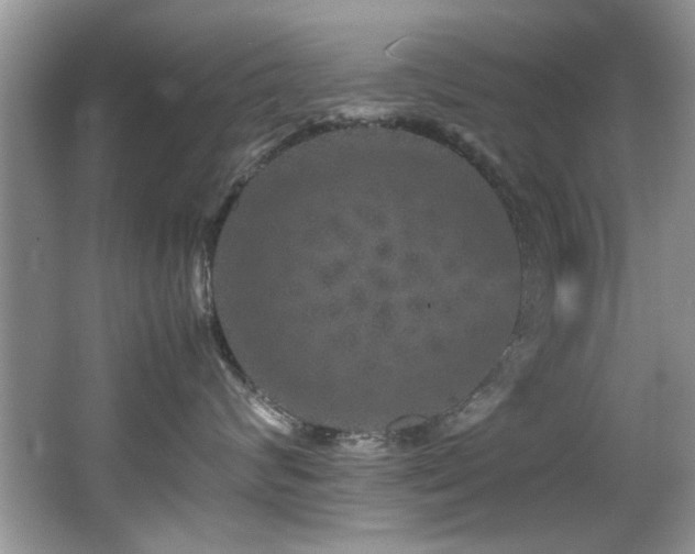 X0000065980624200603031156