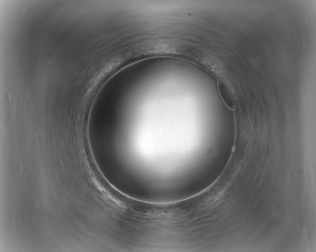 X0000065980625200603031155