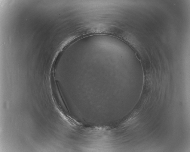 X0000065980626200603031155