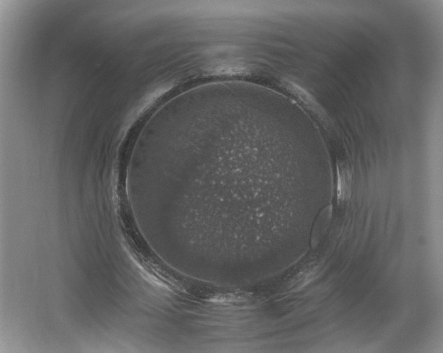 X0000065980627200603031155