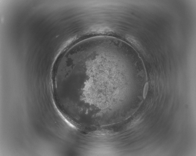 X0000065980630200603031155