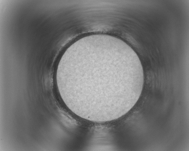 X0000065980632200603031155