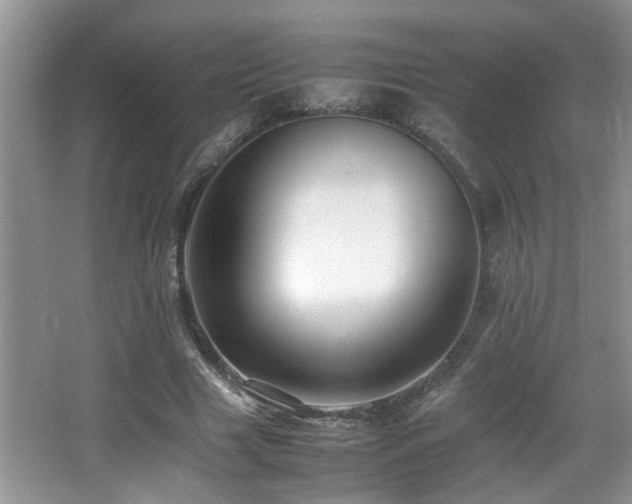 X0000065980633200603031155