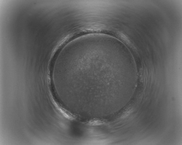 X0000065980634200603031155