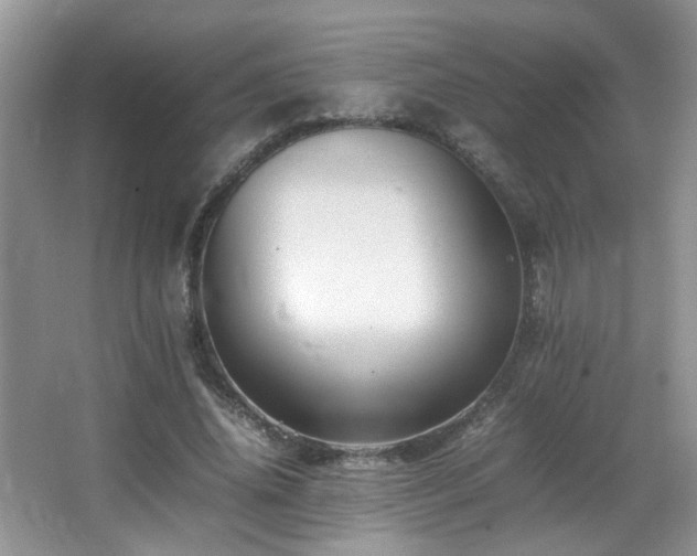 X0000065980636200603031155