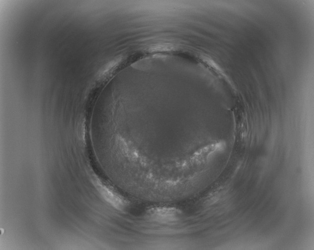 X0000065980637200603031155