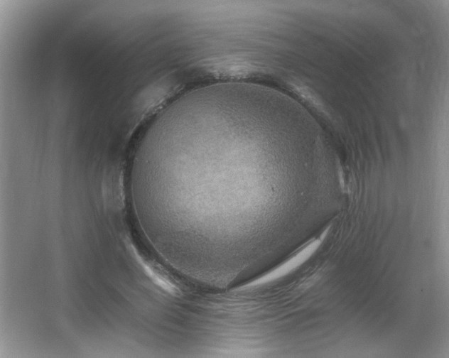 X0000065980638200603031155