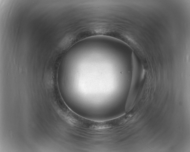 X0000065980639200603031155