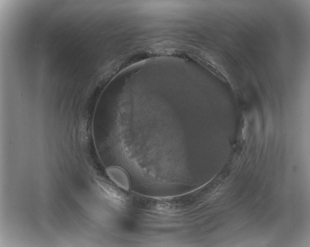 X0000065980641200603031156