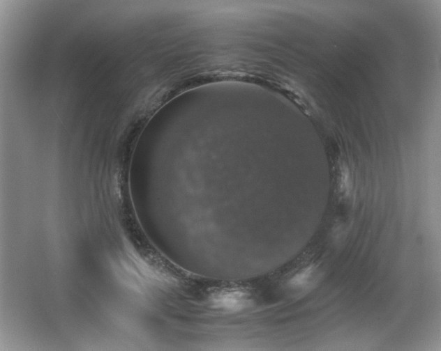 X0000065980643200603031156