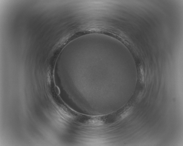 X0000065980644200603031156