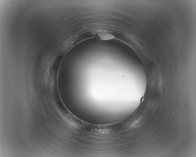 X0000065980645200603031156