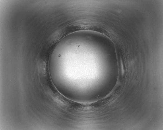 X0000065980646200603031156