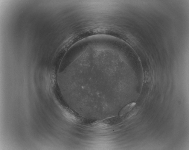 X0000065980648200603031156