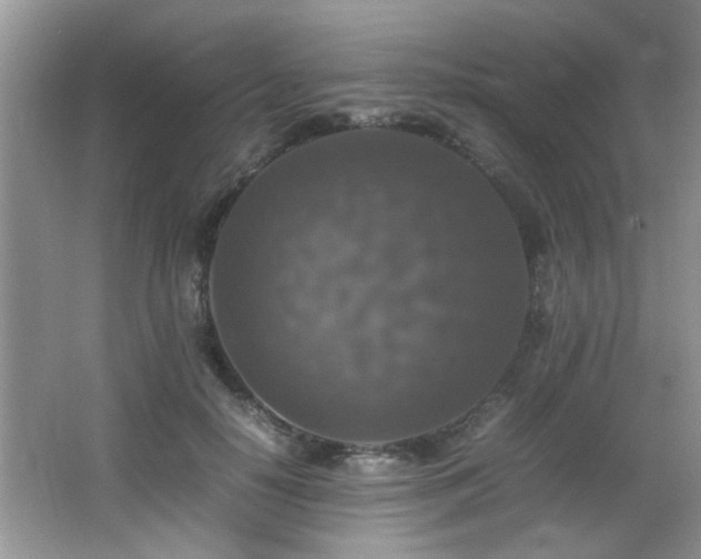 X0000065980650200603031156