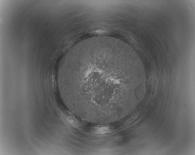 X0000065980651200603031156