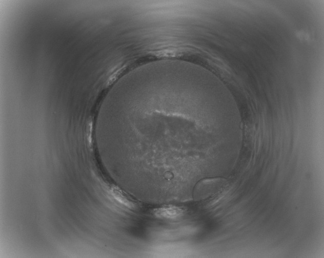 X0000065980652200603031156