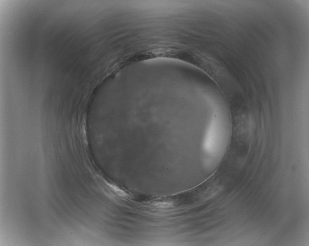 X0000065980653200603031156