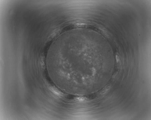 X0000065980654200603031156