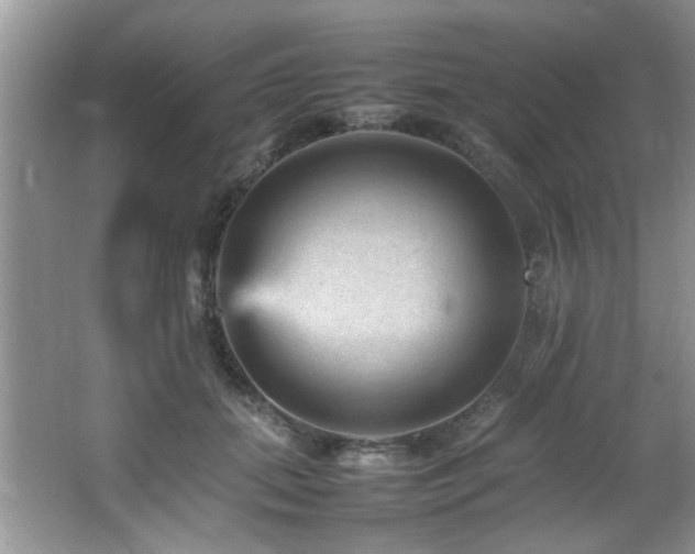 X0000065980655200603031156