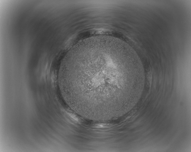 X0000065980657200603031156