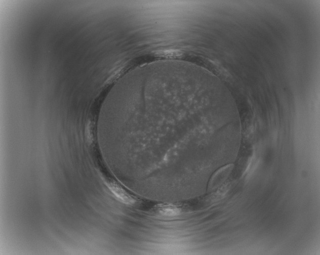 X0000065980658200603031156