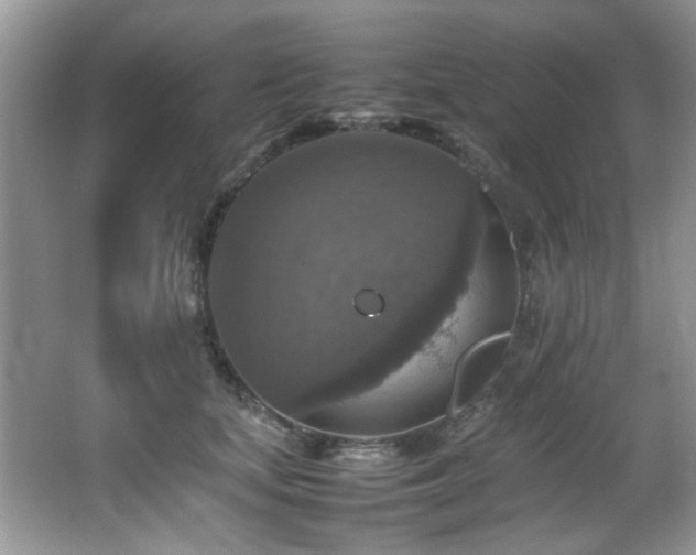 X0000065980659200603031156