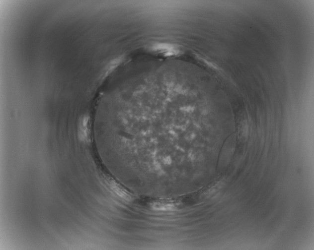 X0000065980661200603031156