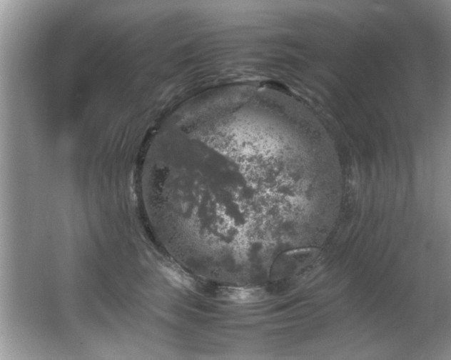 X0000065980663200603031156