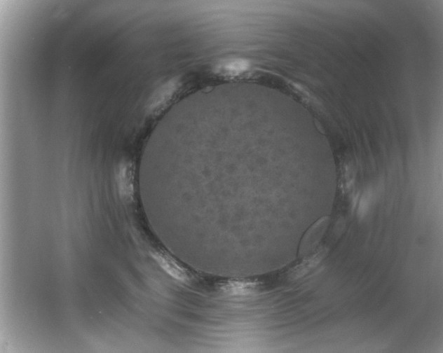 X0000065980664200603031156