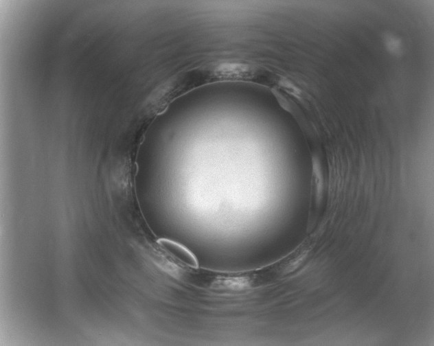 X0000065980665200603031156