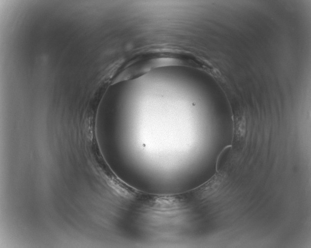 X0000065980666200603031156