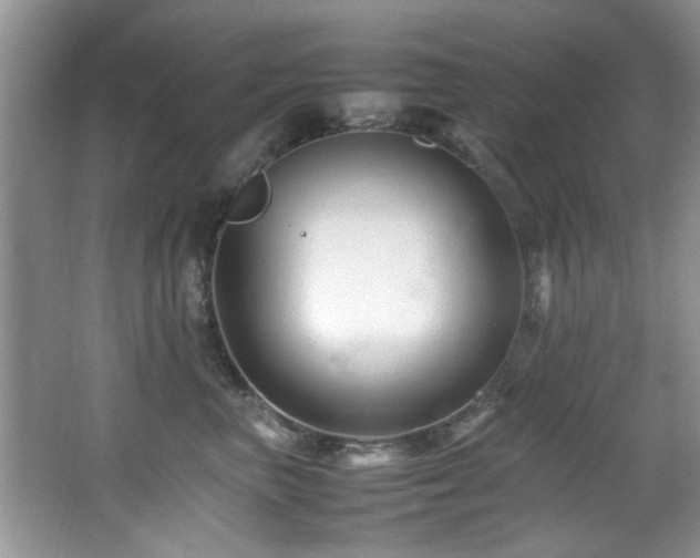 X0000065980667200603031156