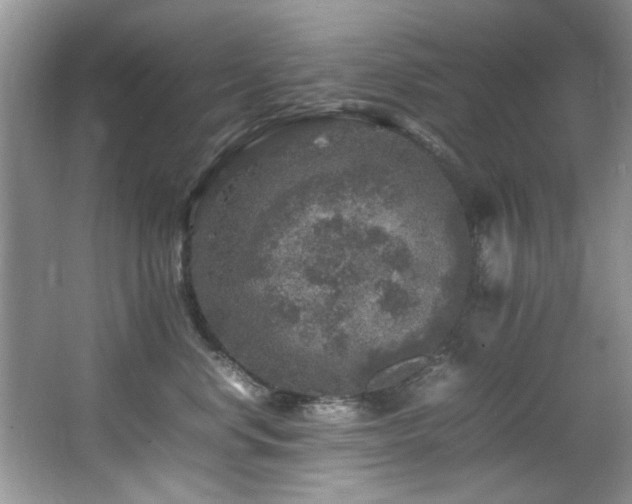 X0000065980668200603031156