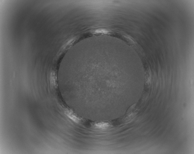 X0000065980669200603031156