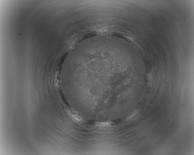 X0000065980671200603031156