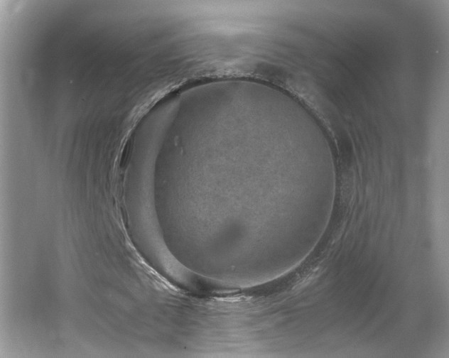 X0000065980673200603031155